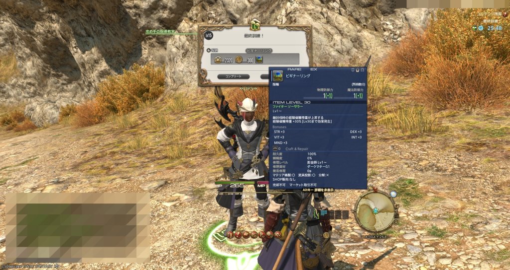 FF14初心者の館の報酬を受け取る場面。