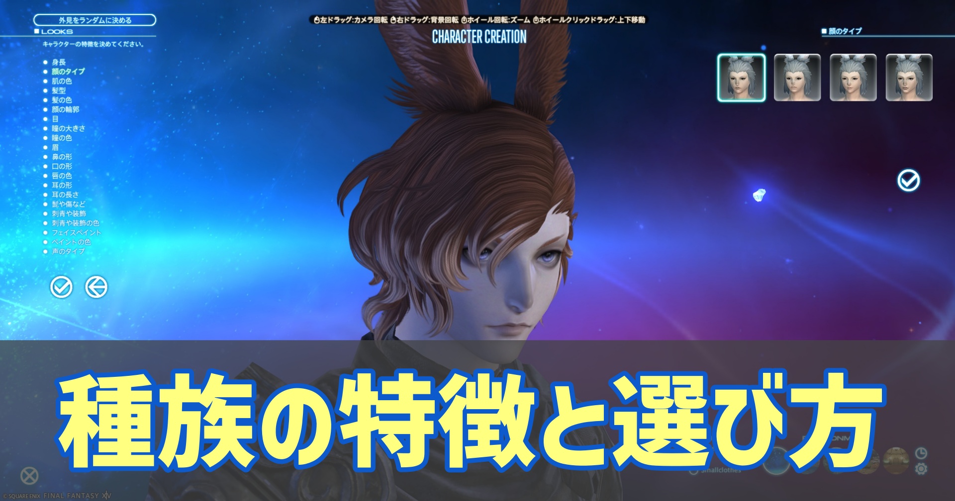 FF14の初心者ガイド 種族の特徴と選び方
