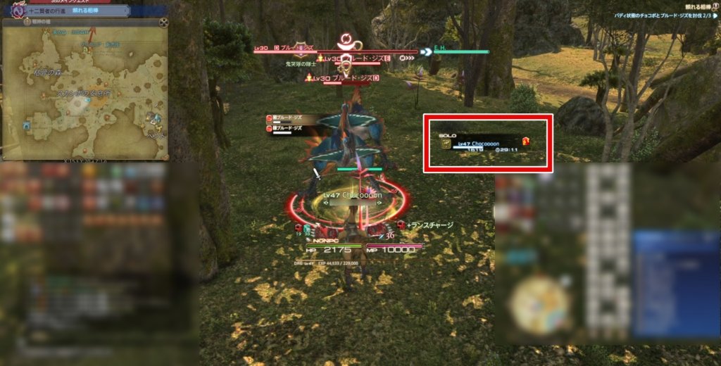 FF14のバディと一緒に戦う様子