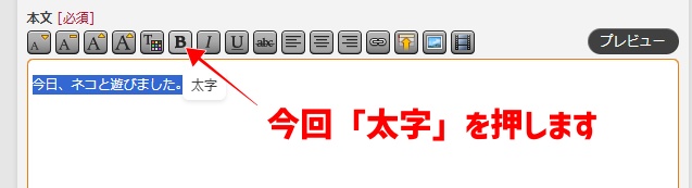 FF14のロードストーンでの日記の書き方の画像